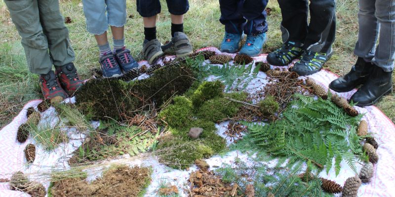 Waldwoche in Schorborn – Ferienangebot für Kinder im Grundschulalter